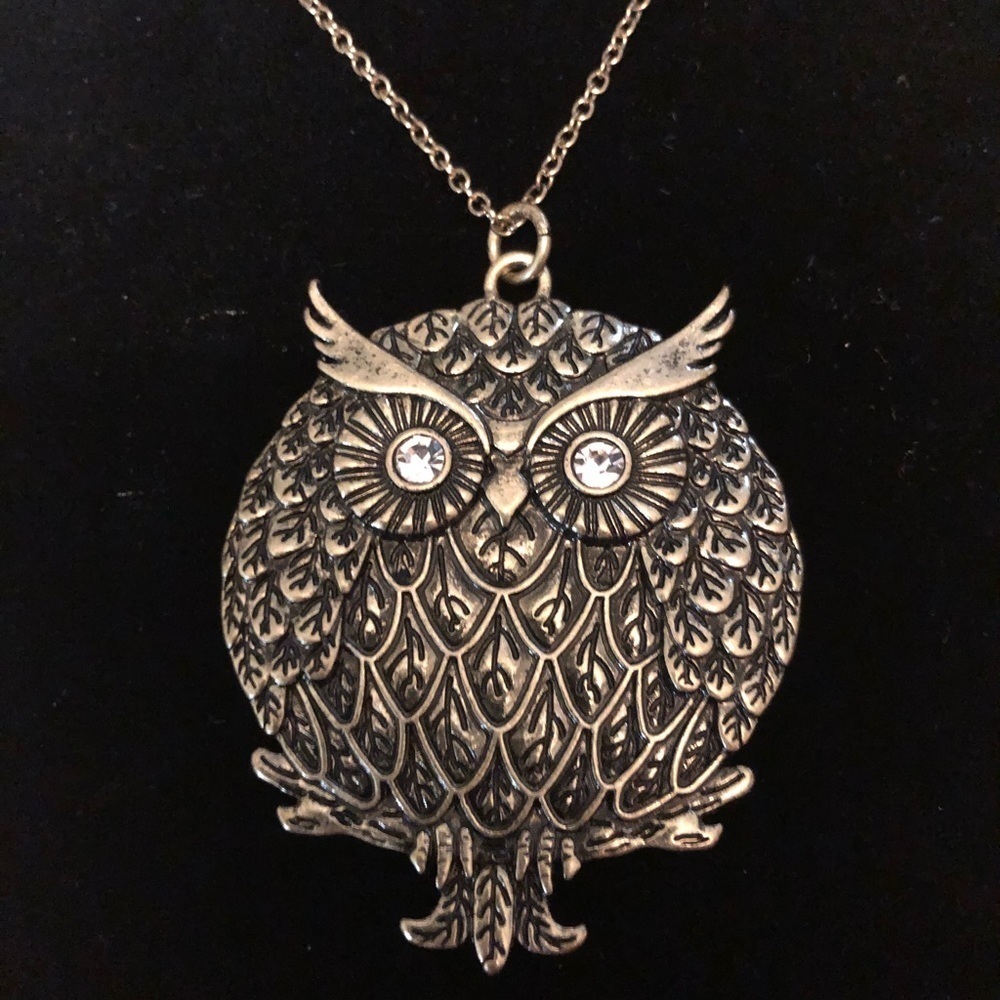 𝅺NWOT 16”Fun Owl Necklace